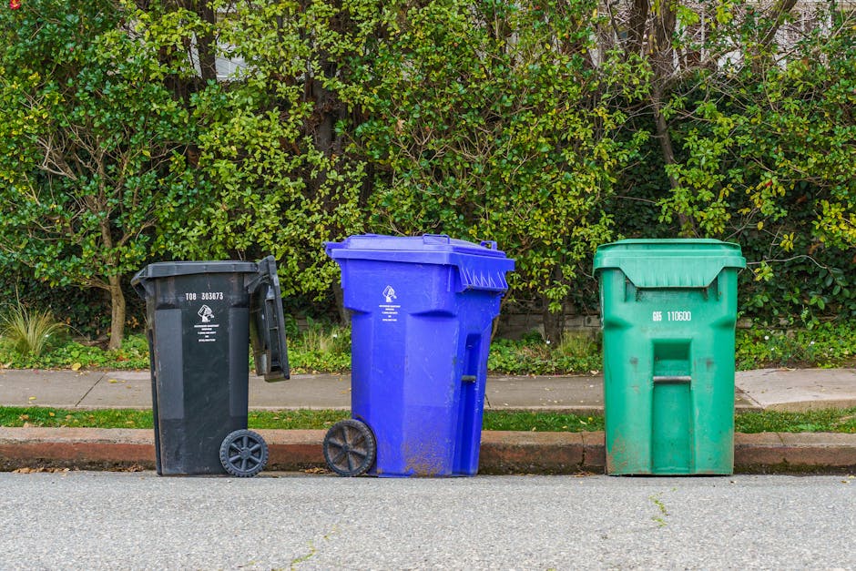Three different colored wheelie bins—black, blue, and green—are positioned on a paved sidewalk alongside a curb, with a thick green hedge in the background. The black bin, likely for general waste, has a closed lid and small wheels. The blue bin, intended for recyclable materials such as paper and plastics, features a partially open lid and larger wheels. The green bin, designated for garden waste or organic refuse, is closed and easily distinguishable by its bright color. The surfaces of all bins appear clean and dry, with no visible debris or dirt. The setting is well-lit with natural daylight, emphasizing the textured surfaces of the bins and the lush foliage behind them. Carpet Cleaning Kingston adheres to local rules for disposing of carpet waste, and this image reflects the broader importance of proper waste management, particularly in maintaining hygiene and cleanliness after deep cleaning tasks. The scene is situated on a residential street, illustrating standard waste disposal practices aligned with Kingston Council guidelines for waste separation and disposal.
