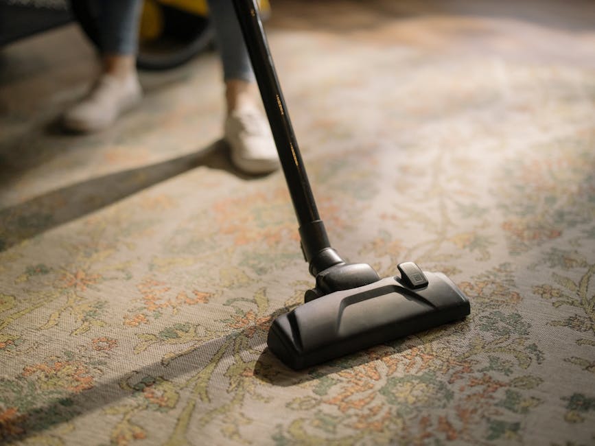 A vacuum cleaner with a black body and a slim, adjustable wand is being used on a traditional patterned area rug, which features floral motifs in muted shades of beige, green, and orange. The rug is part of a domestic setting illuminated by natural light, revealing a clean and well-maintained surface. In the background, a person wearing dark pants and white shoes stands nearby, indicating an active cleaning process conducted by Carpet Cleaning Kingston at a residence, focusing on surface cleaning and hygiene maintenance.